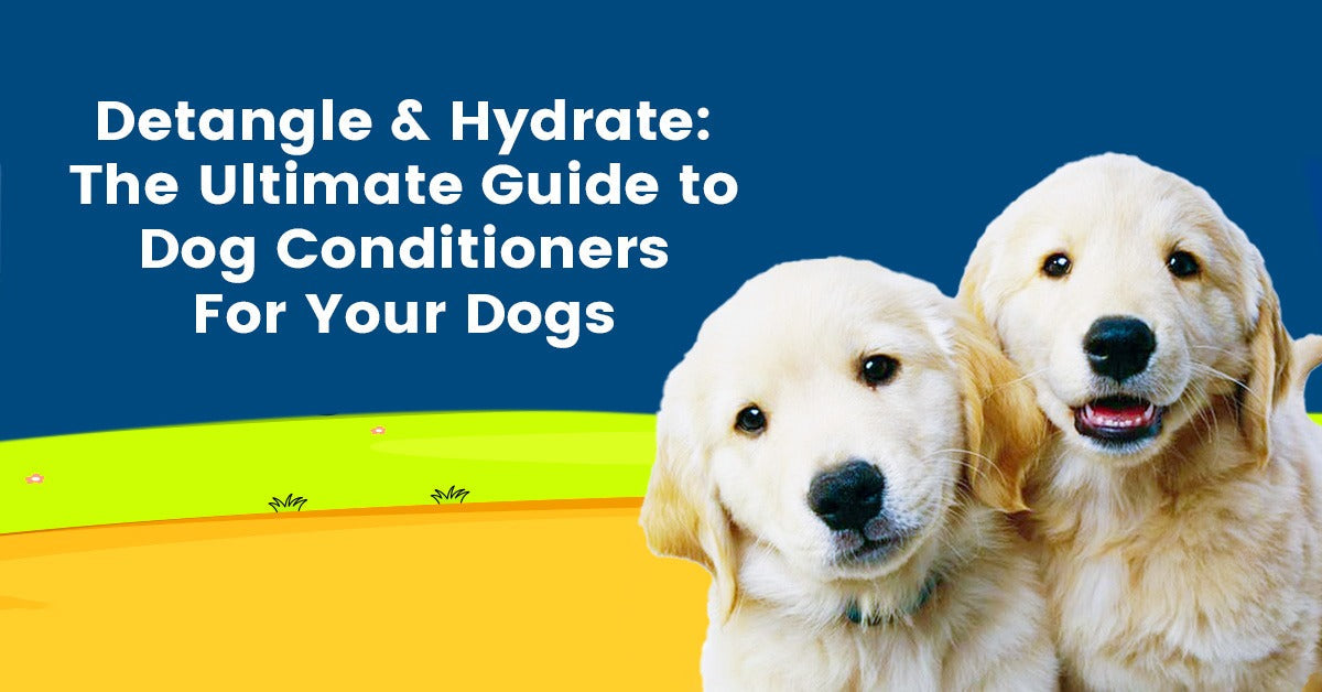 Detangle & Hydrate: The Ultimate Guide to Dog Conditioners For Your Dogs