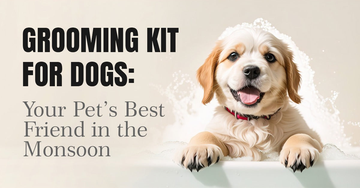 Telltails’ Grooming Kit for Dogs: Your Pet’s Best Friend in the Monsoon