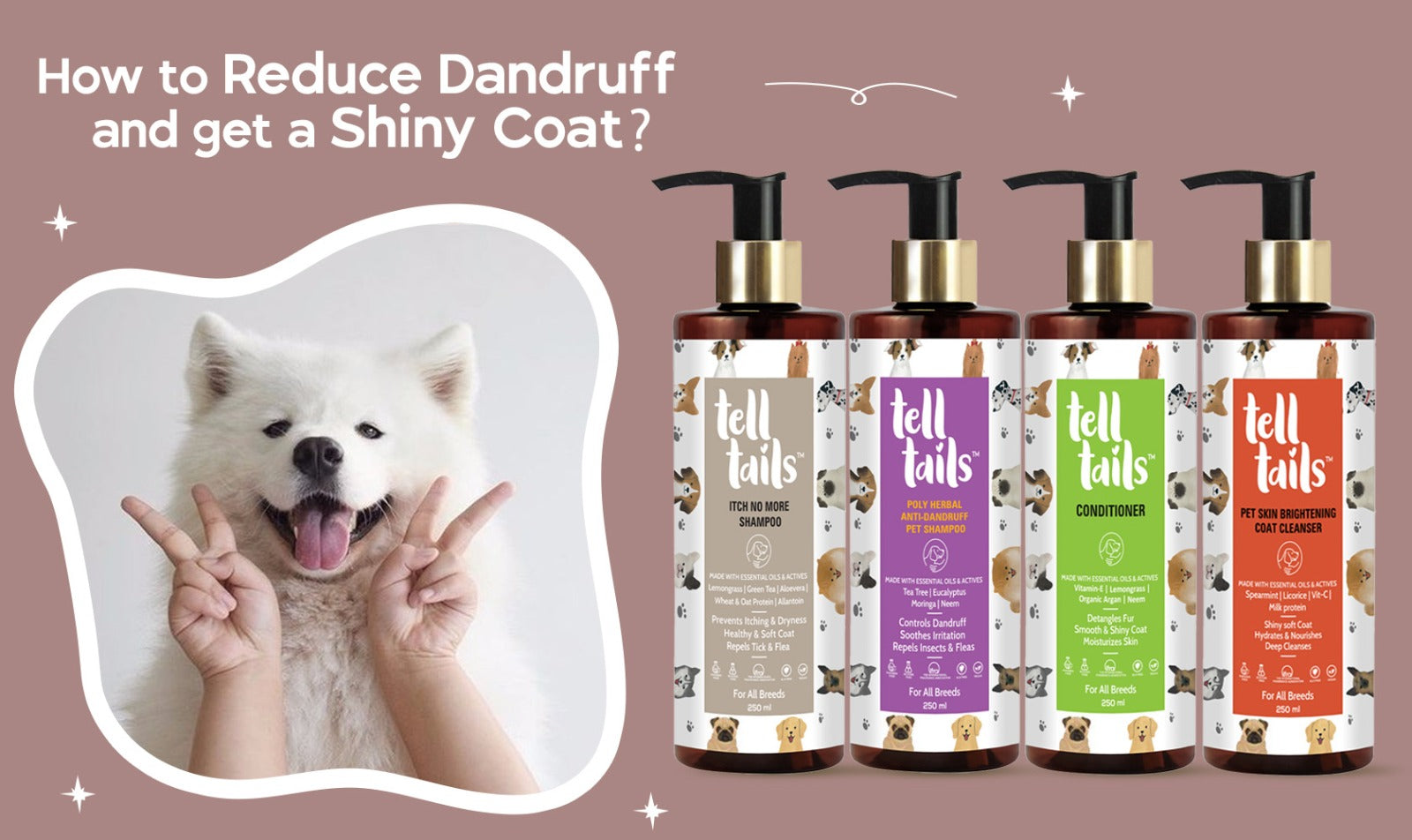 How to reduce dandruff and get a shiny coat at telltails.co.in