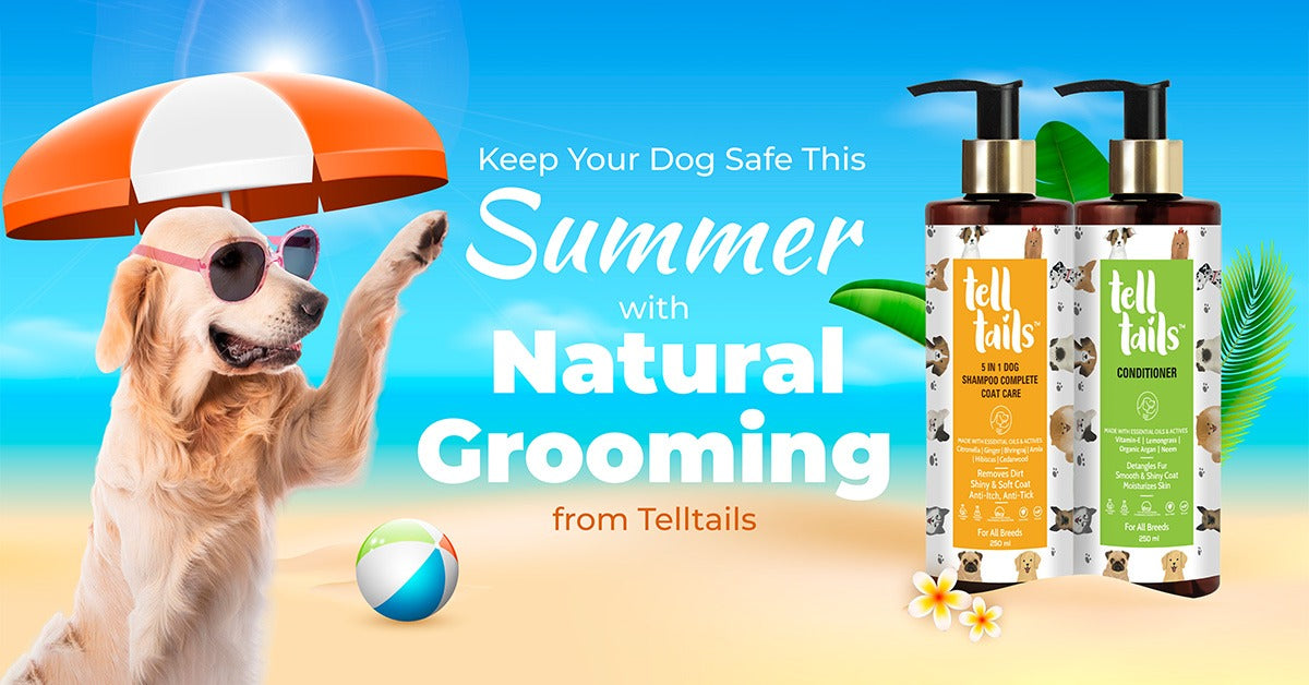 Keep Your Dog Safe This Summer with Natural Grooming from Telltails
