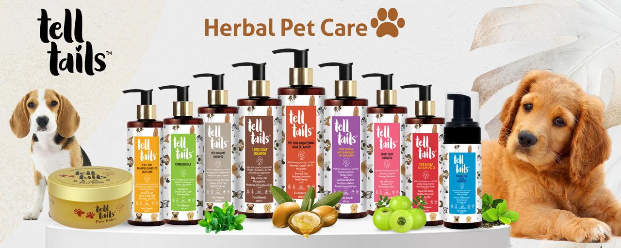 Never Skip These Products for Your Dog - Telltails India
