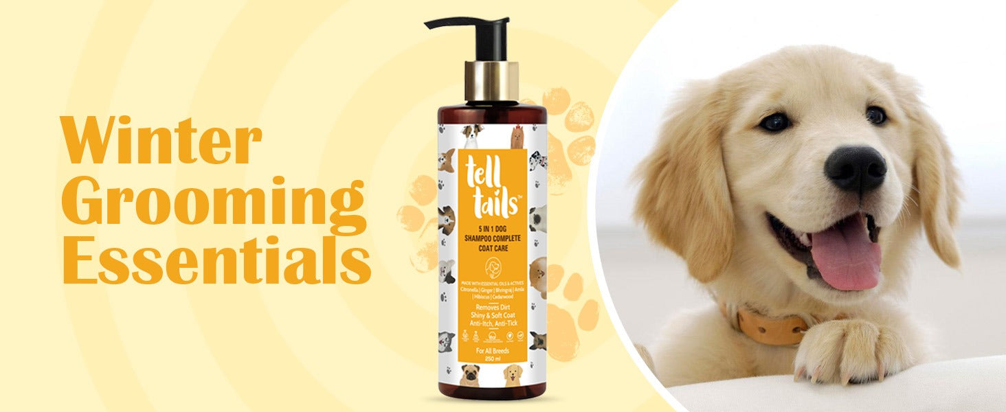 Winter grooming essentials - telltails.co.in
