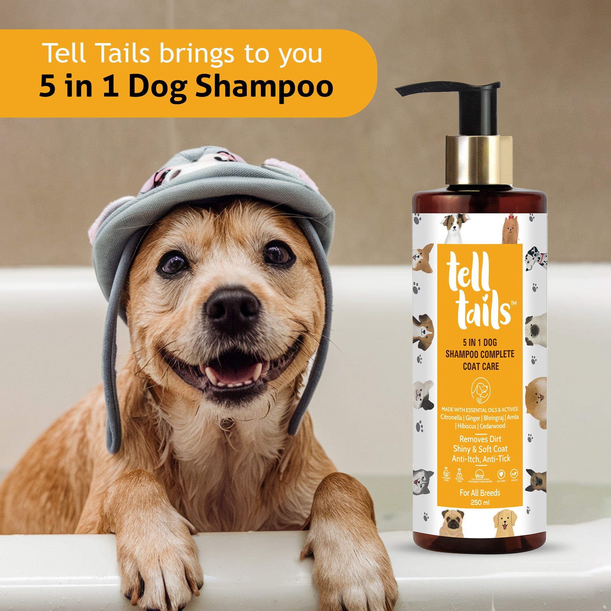 How to Groom Your Dog