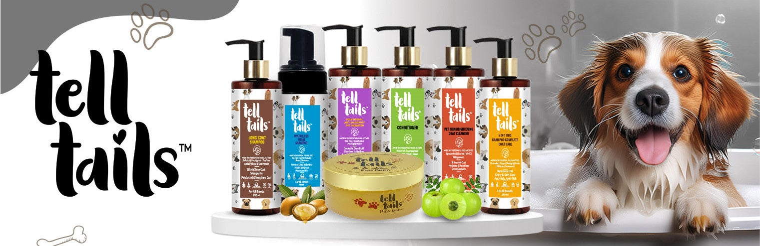 Poly Herbal Anti-Dandruff Pet Shampoo