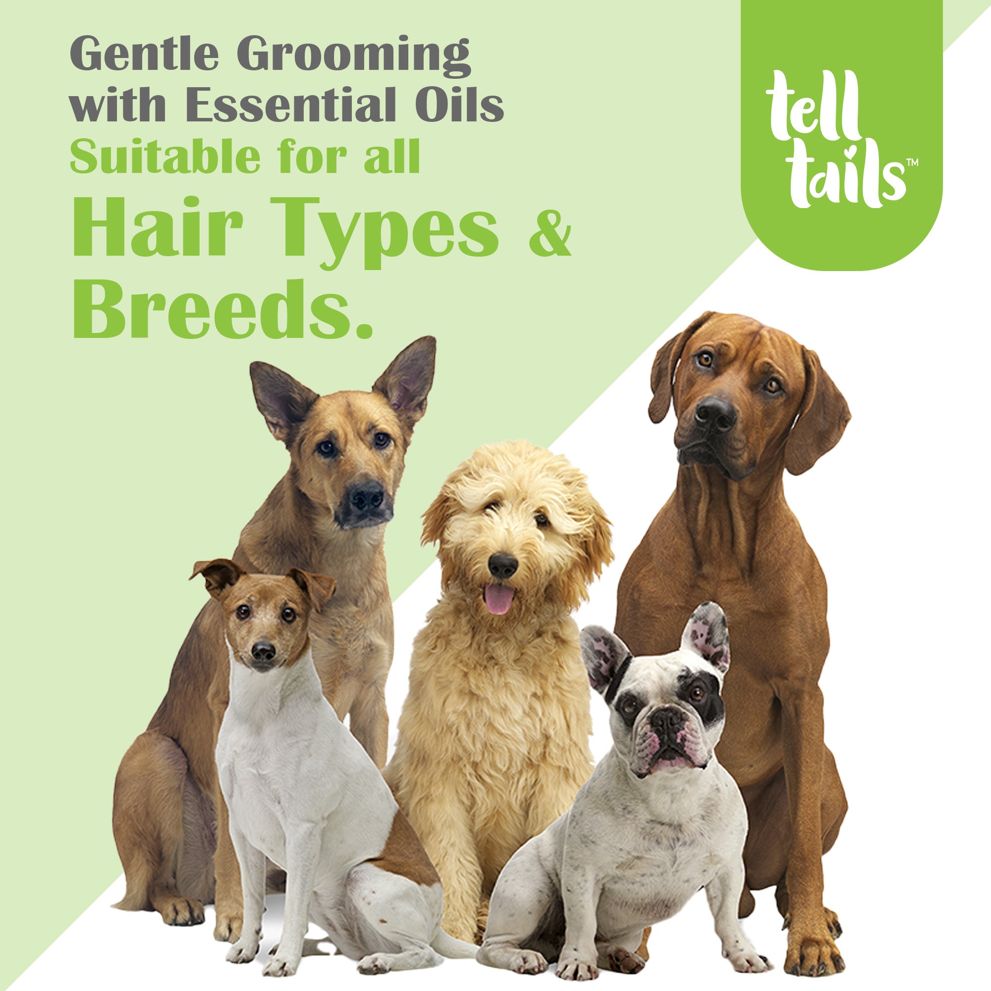 Telltails-store