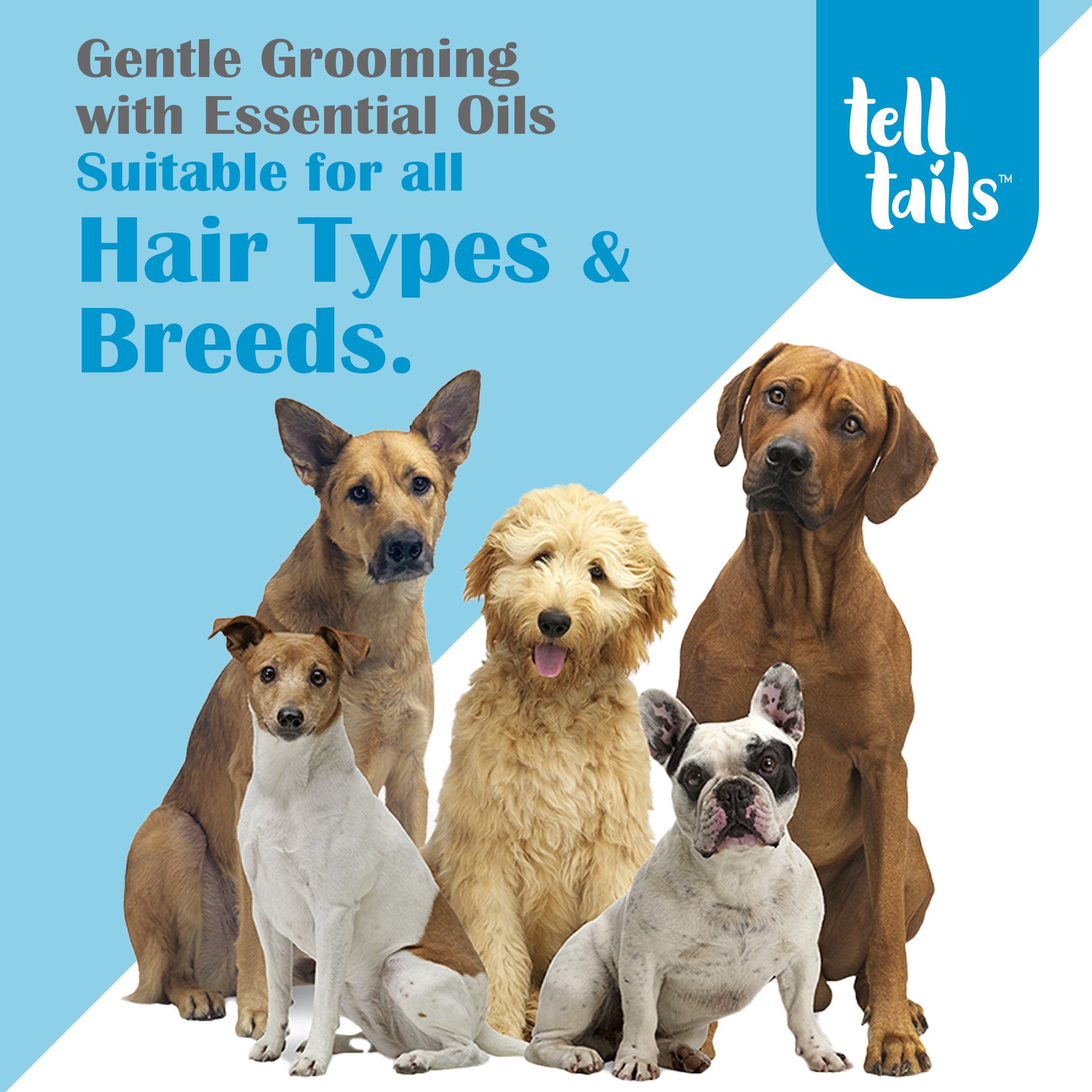Telltails-store