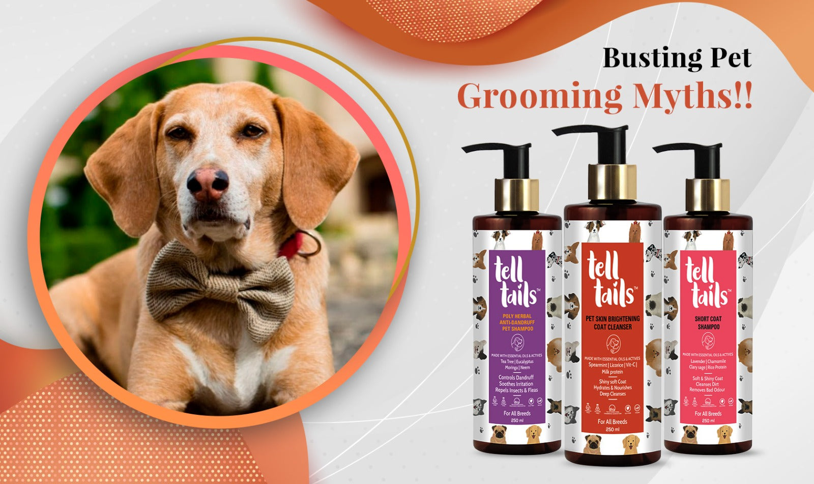 Busting Pet Grooming Myths!!