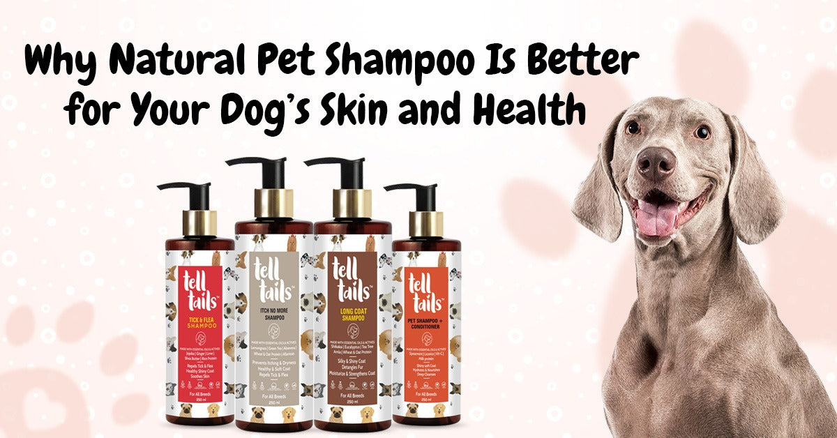 Why Natural Pet Shampoo Is Better for Your Dog’s Skin and Health