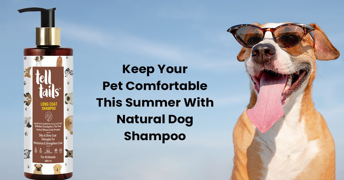 Keep Your Pet Comfortable This Summer With Natural Dog Shampoo – Telltails