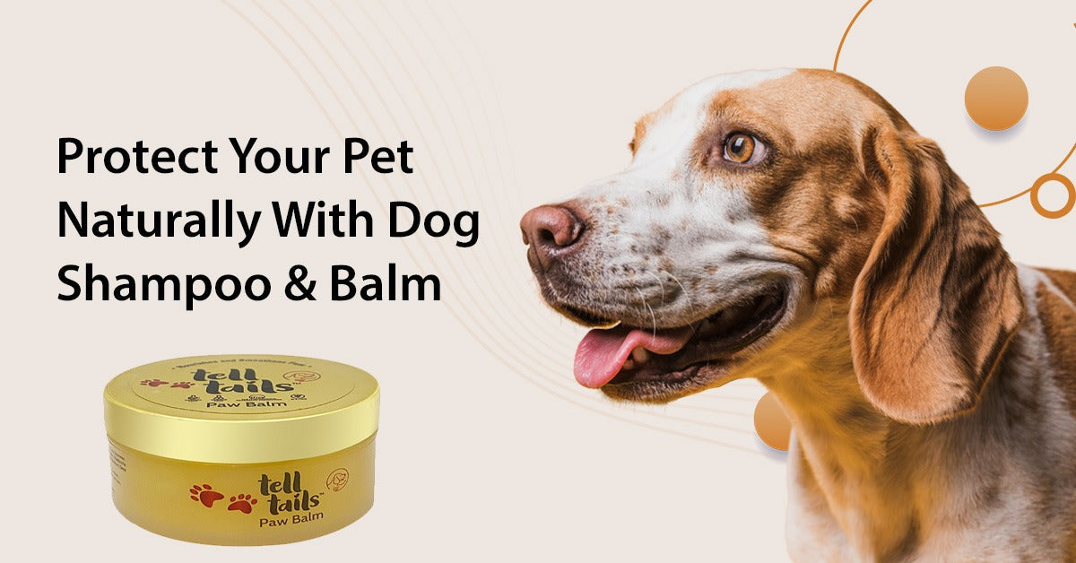 Protect Your Pet Naturally: The Power of Plant-Based Dog Shampoo & Balm