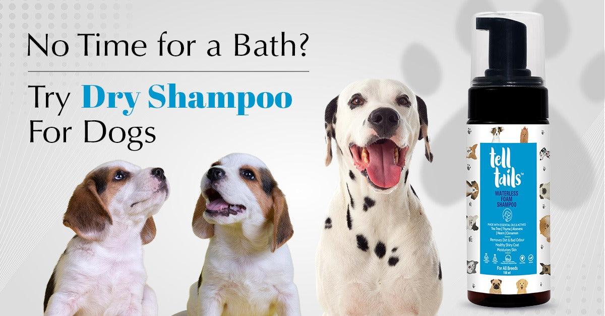 No Time for a Bath? Try Dry Shampoo For Dogs by Telltails