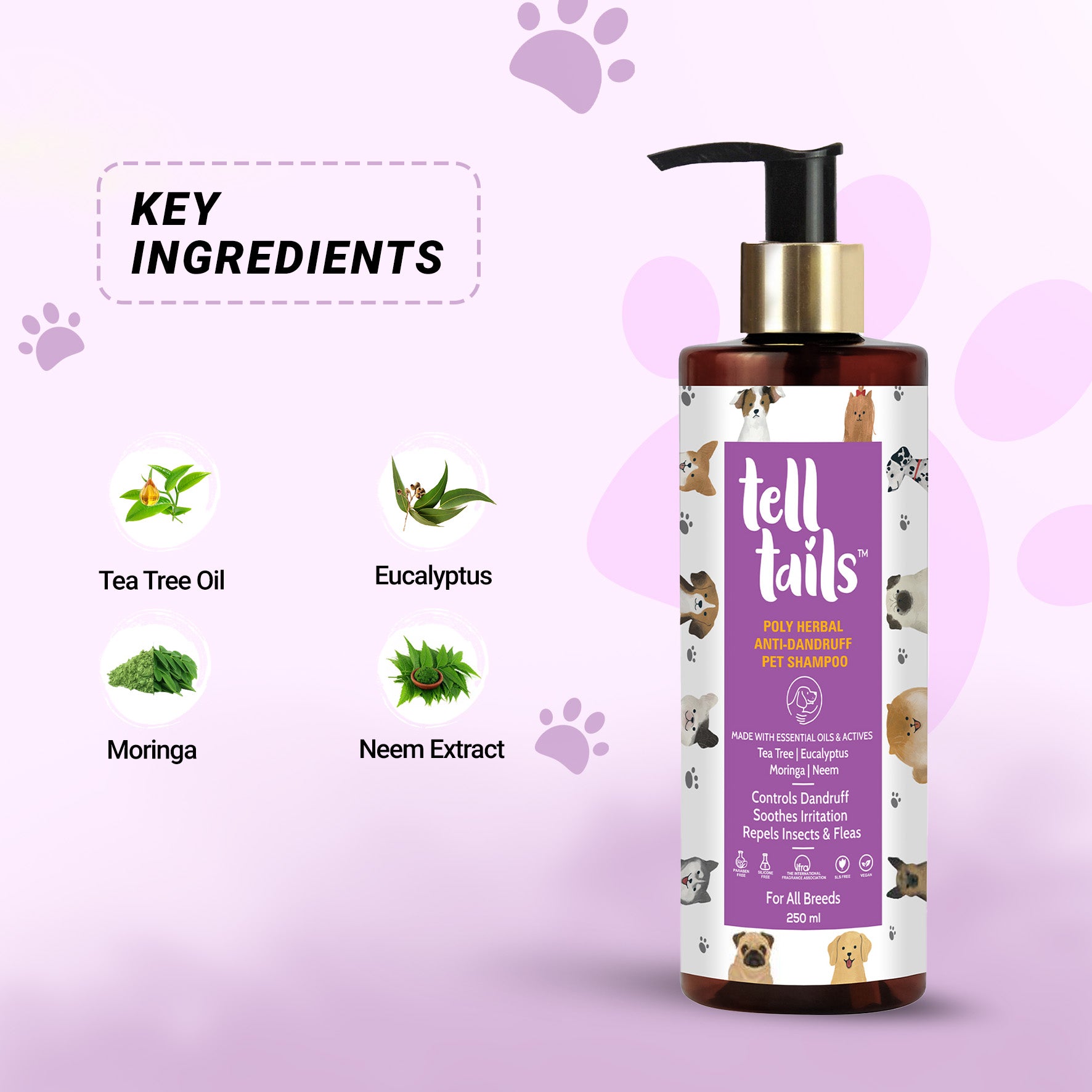 Poly Herbal Anti-Dandruff Pet Shampoo